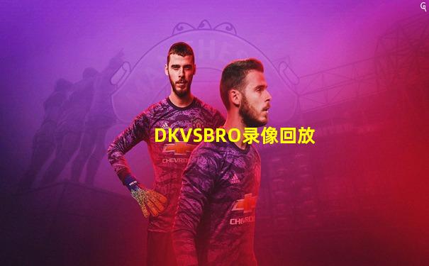 DKVSBRO录像回放