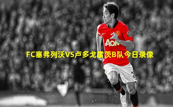 FC塞弗列沃VS卢多戈雷茨B队今日录像