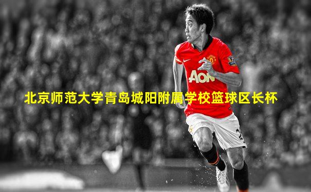 北京师范大学青岛城阳附属学校篮球区长杯