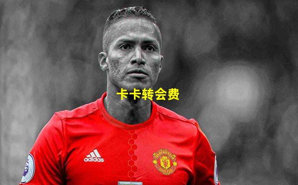 卡卡转会费
