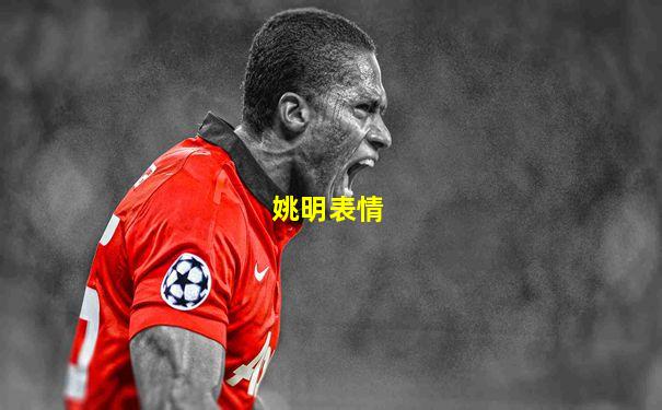 姚明表情
