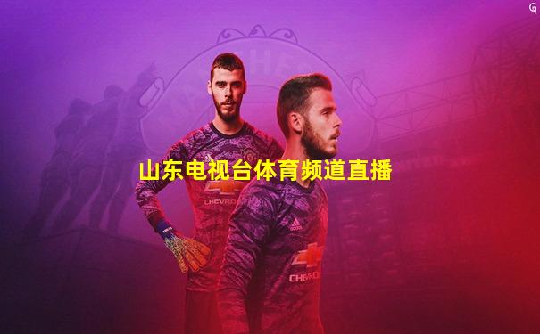山东电视台体育频道直播