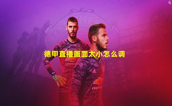 德甲直播画面太小怎么调
