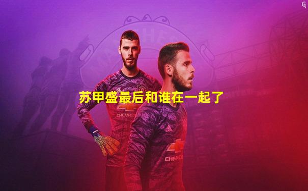 苏甲盛最后和谁在一起了